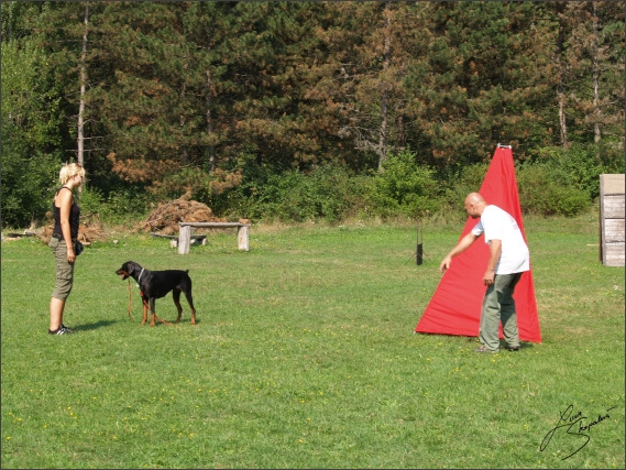 Summer training camp - Jelenec - 2007